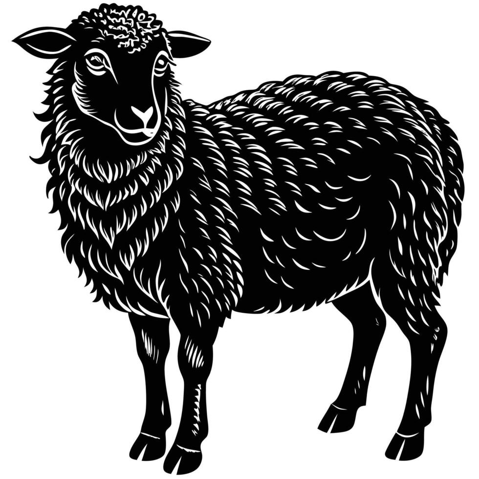 black and white illustration of a sheep vector