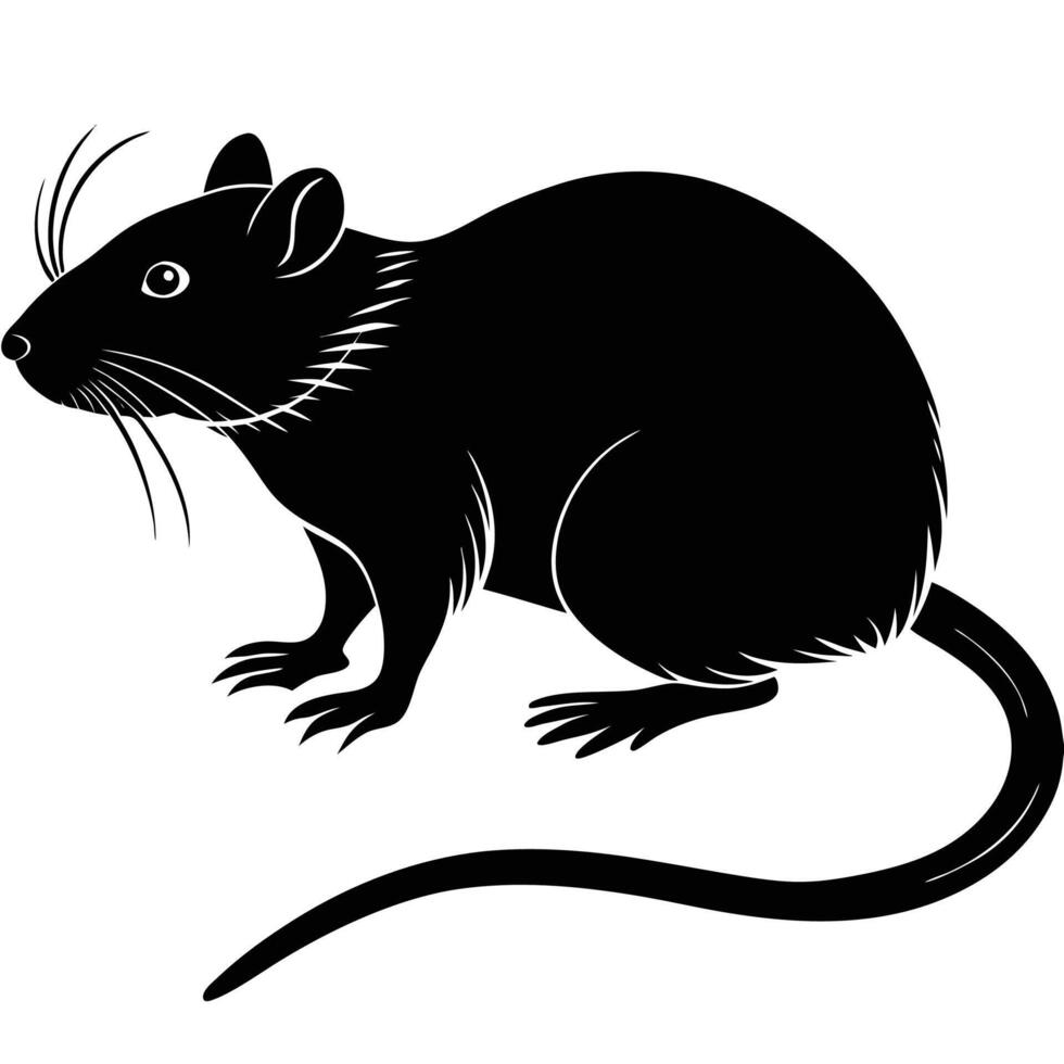 a black rat on a white background vector
