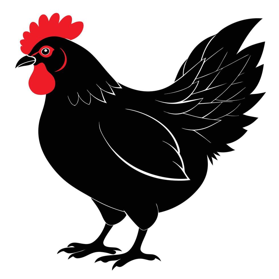 black hen with red comb illustration vector