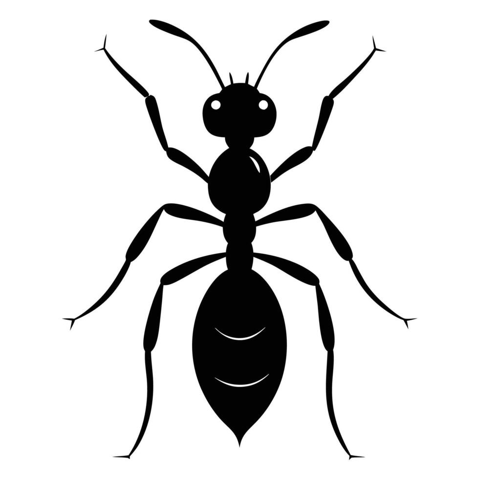 ant illustration on white background vector