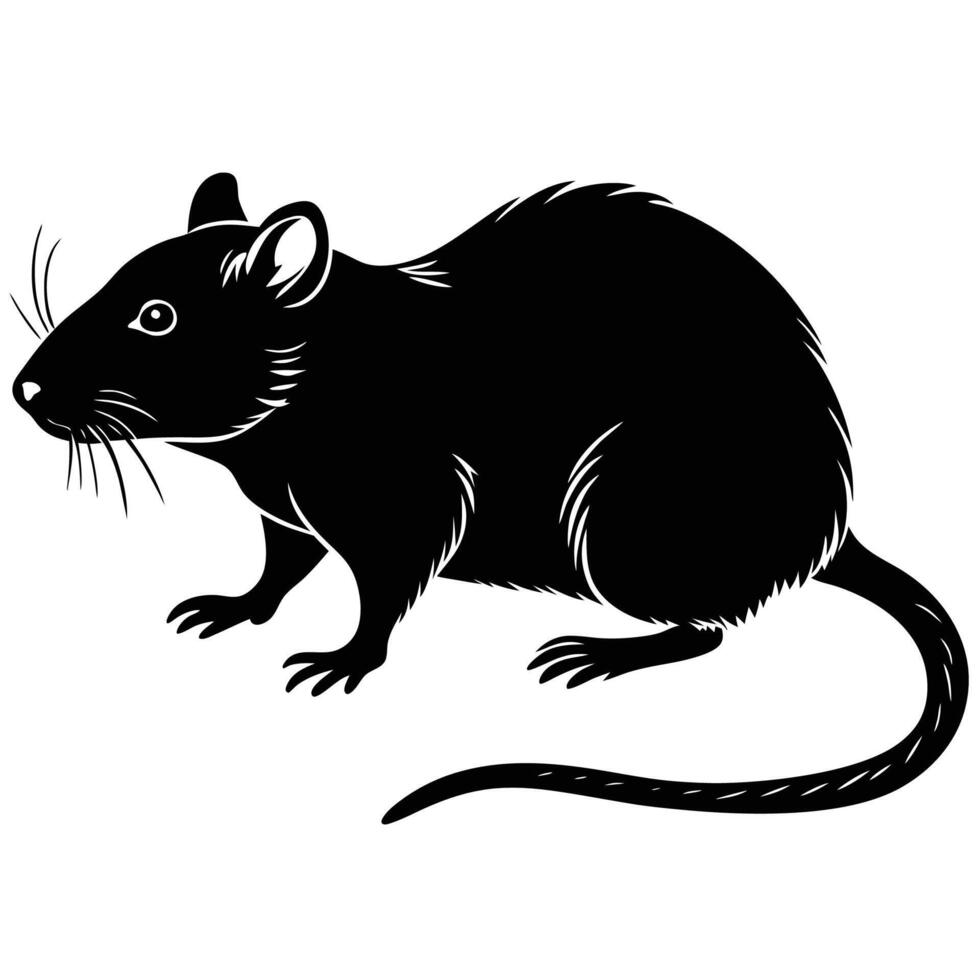 a black rat on a white background vector