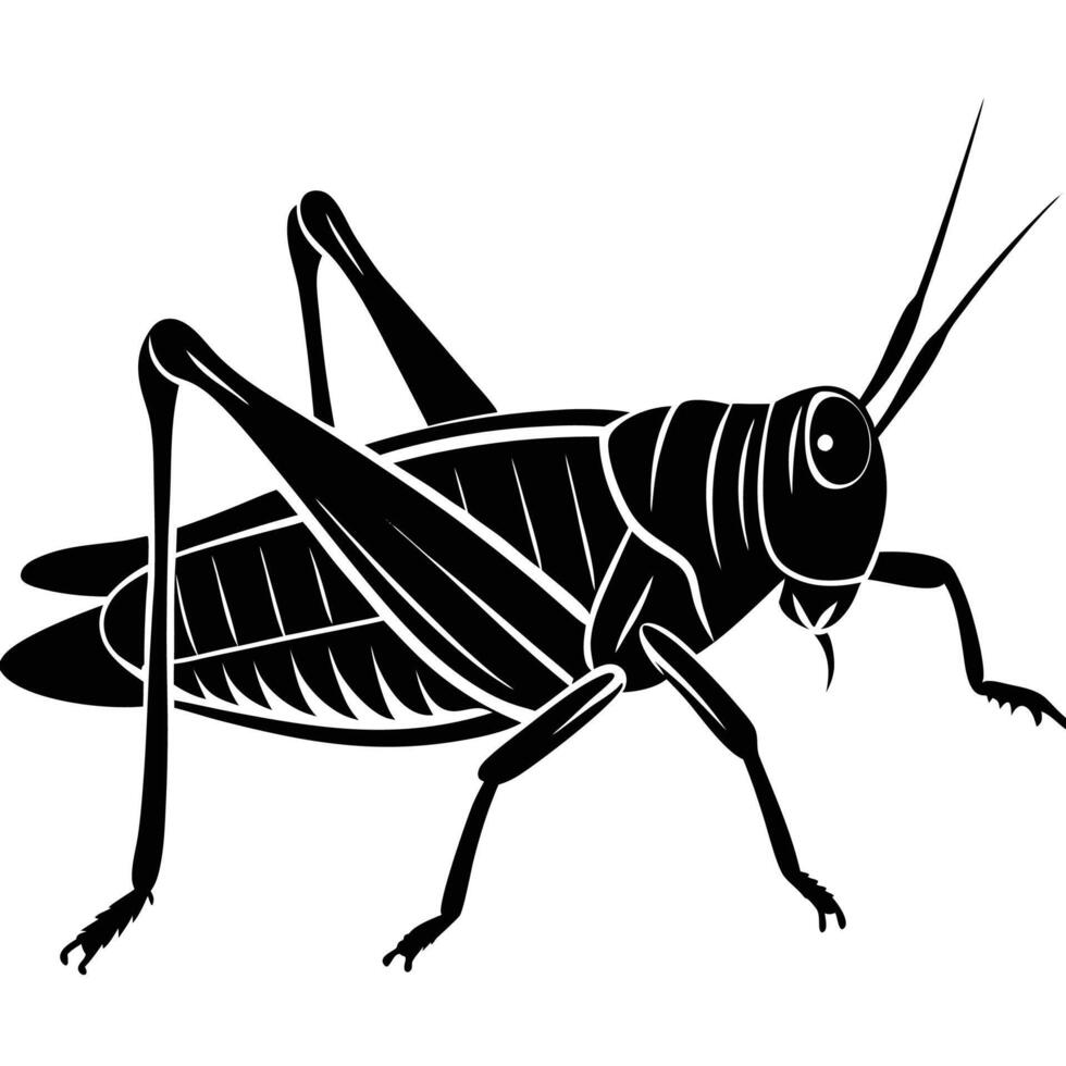 a black and white silhouette of a grasshopper vector