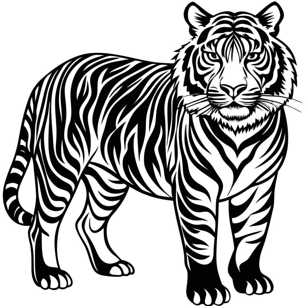 a tiger is standing in a black and white drawing vector