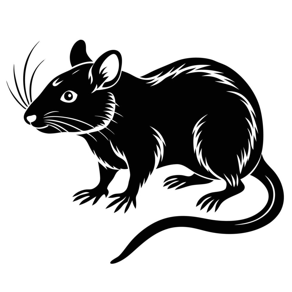 a black and white rat on a white background vector