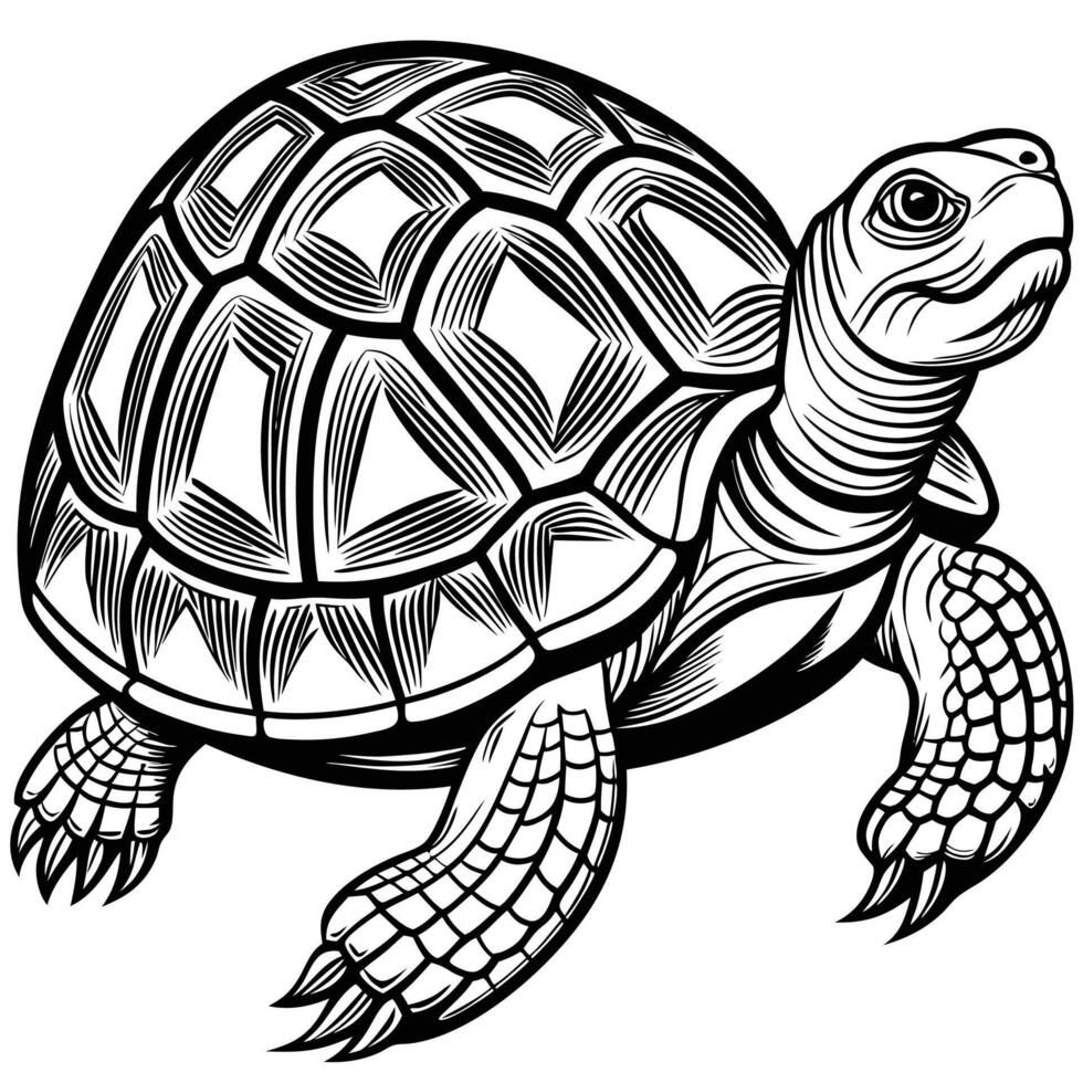a turtle is shown in a black and white drawing vector