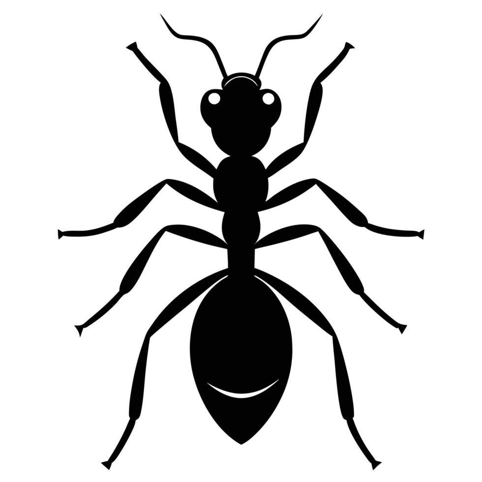 ant icon silhouette of an ant illustration vector