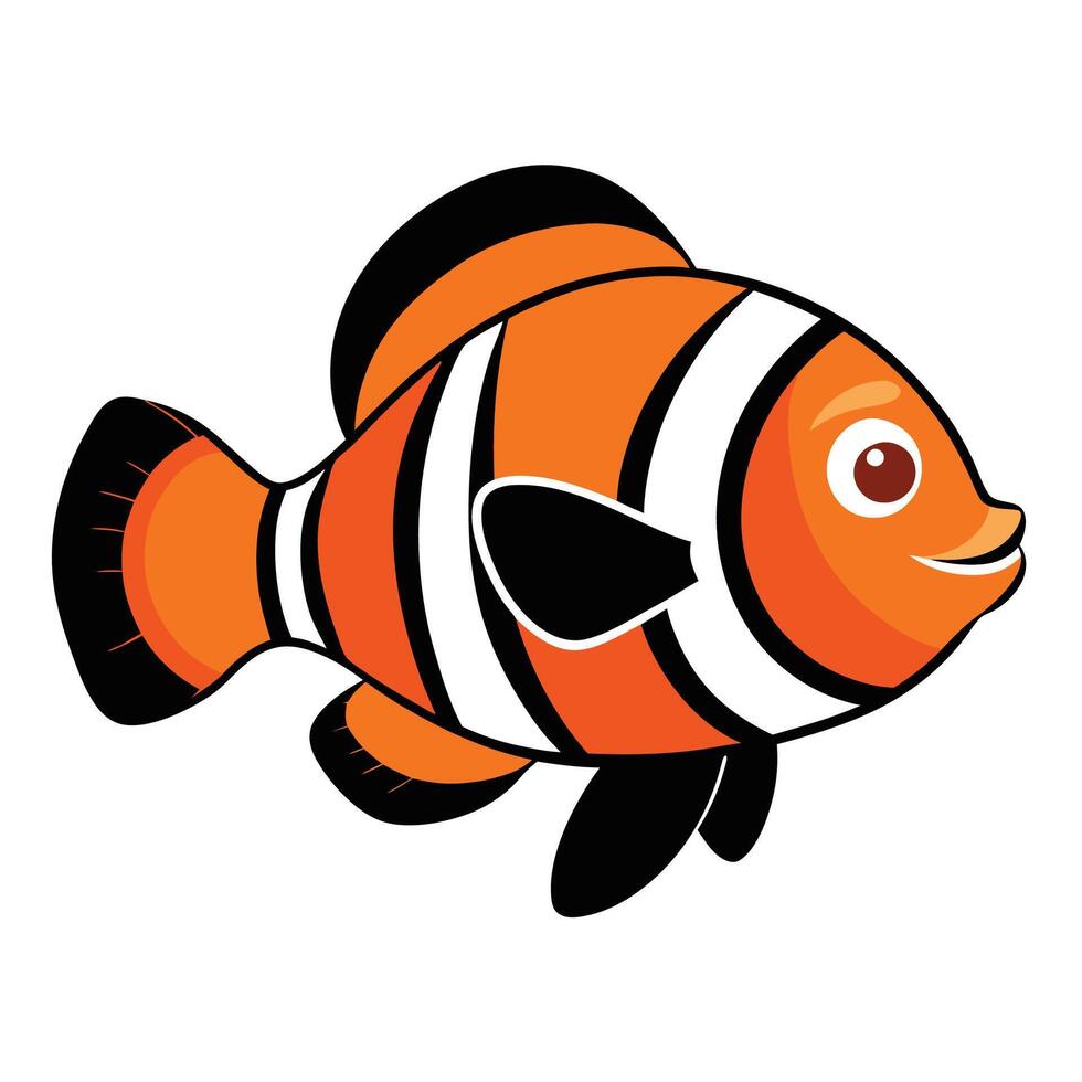 an orange and black clown fish on a white background vector