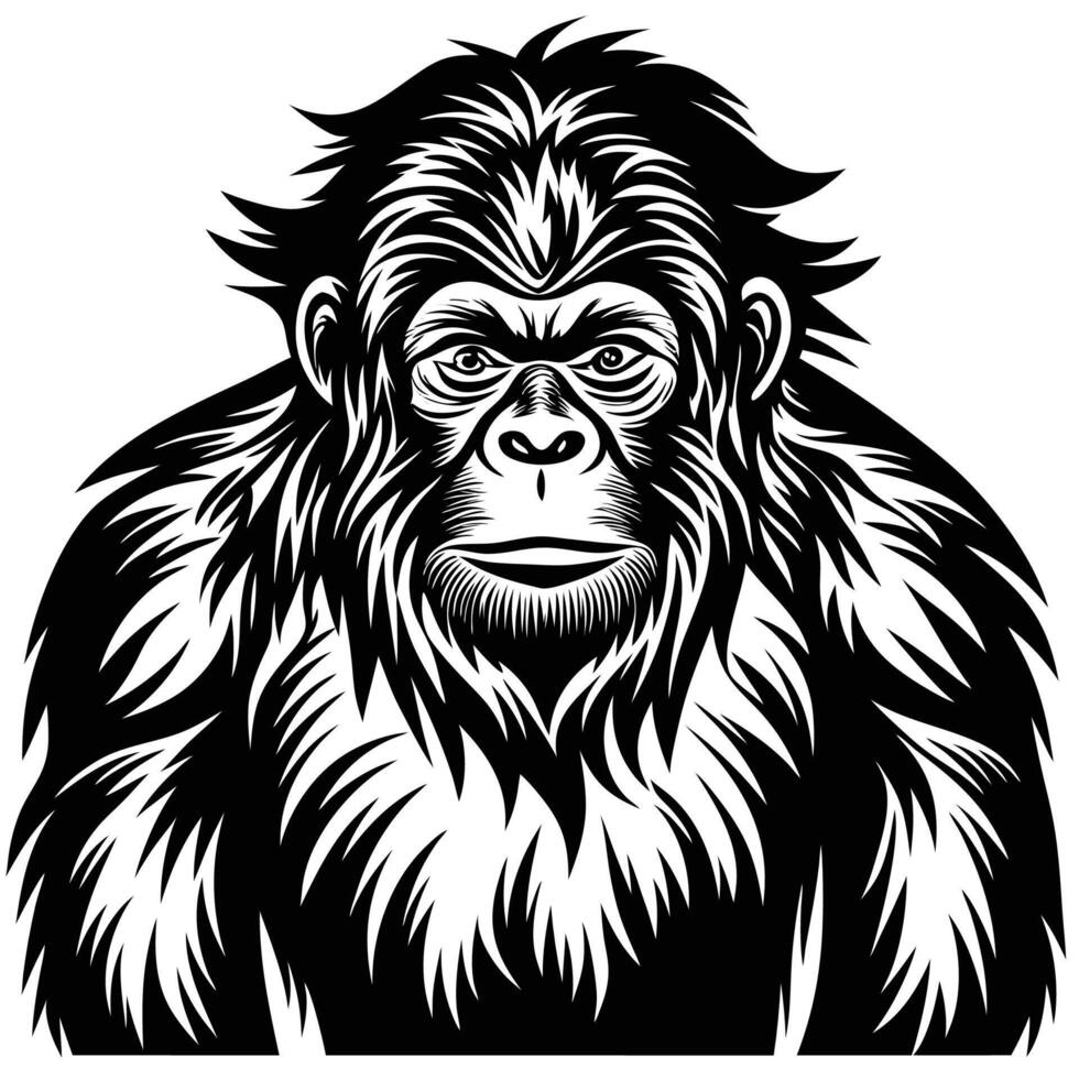 gorilla head illustration vector