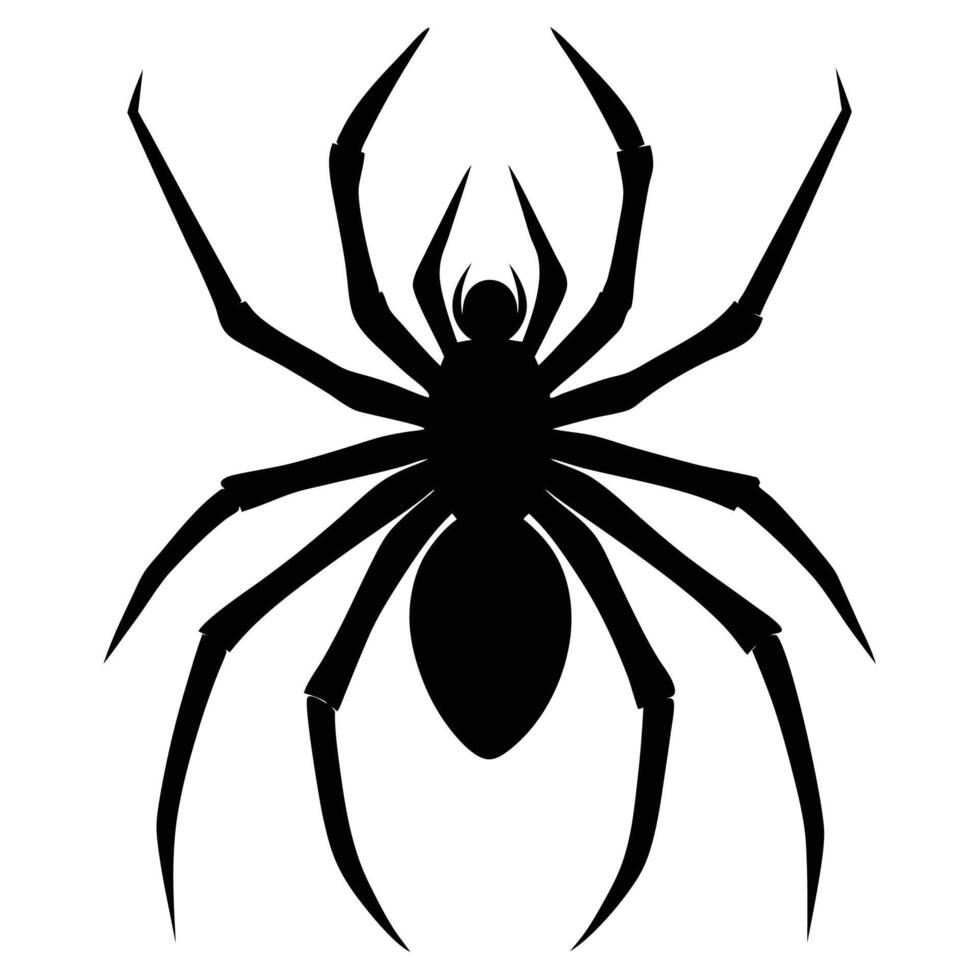 black spider silhouette on white background vector