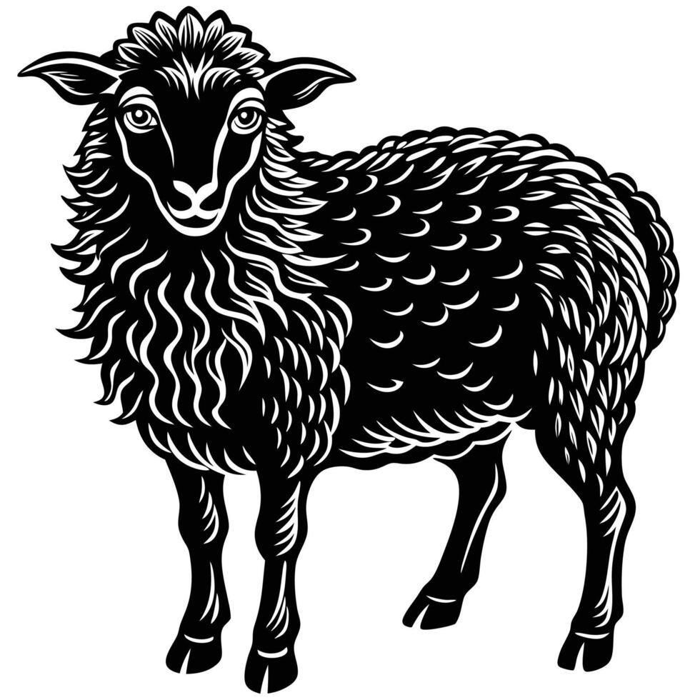 black and white sheep standing in front of a white background vector