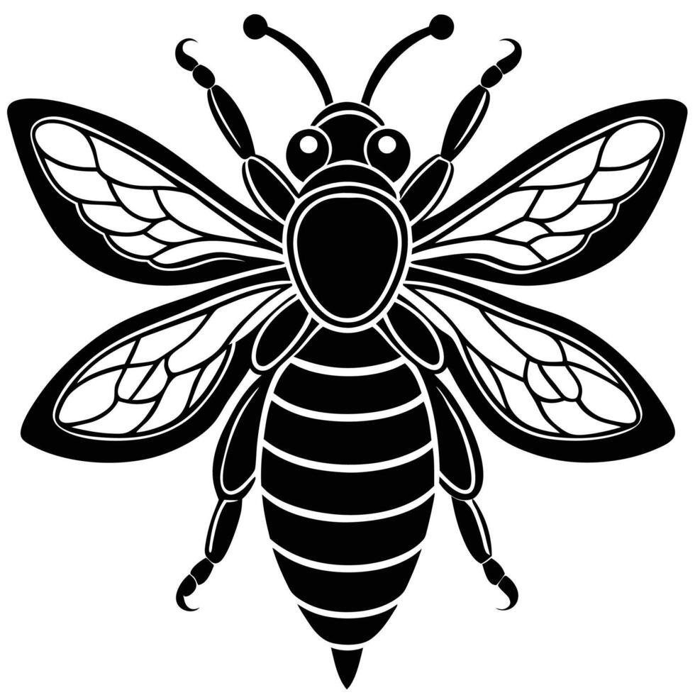 a black and white bee with wings on a white background vector
