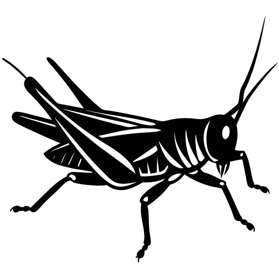 a black and white silhouette of a grasshopper vector