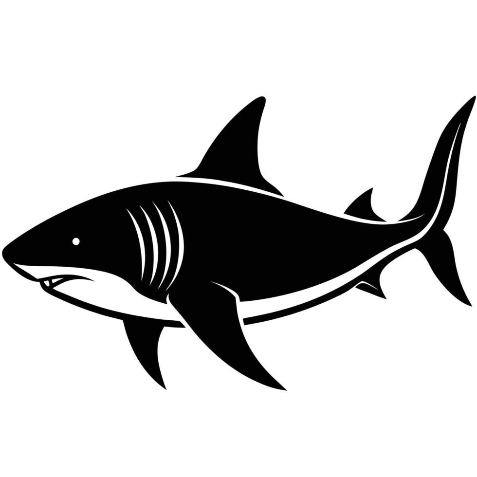 shark illustration on white background vector