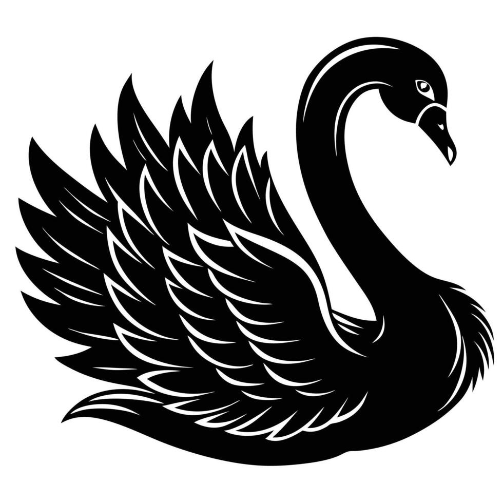 black swan on white background vector