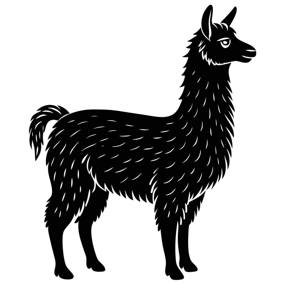 black and white illustration of a llama vector