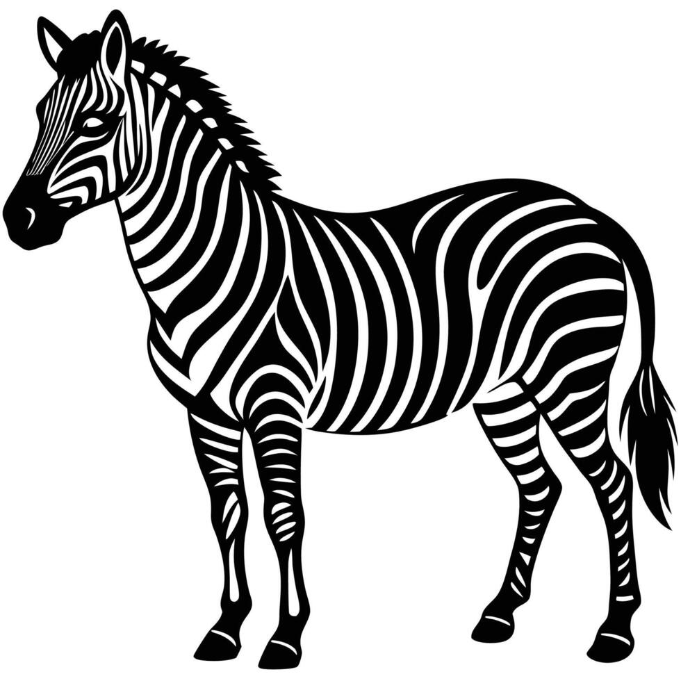 a black and white drawing zebra vector