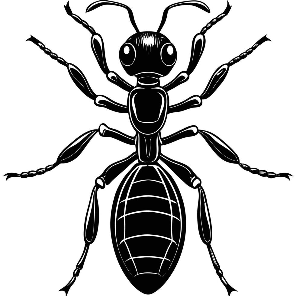 ant insect illustration vector