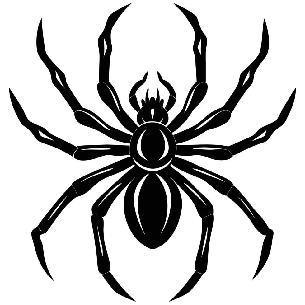 a black spider on a white background vector