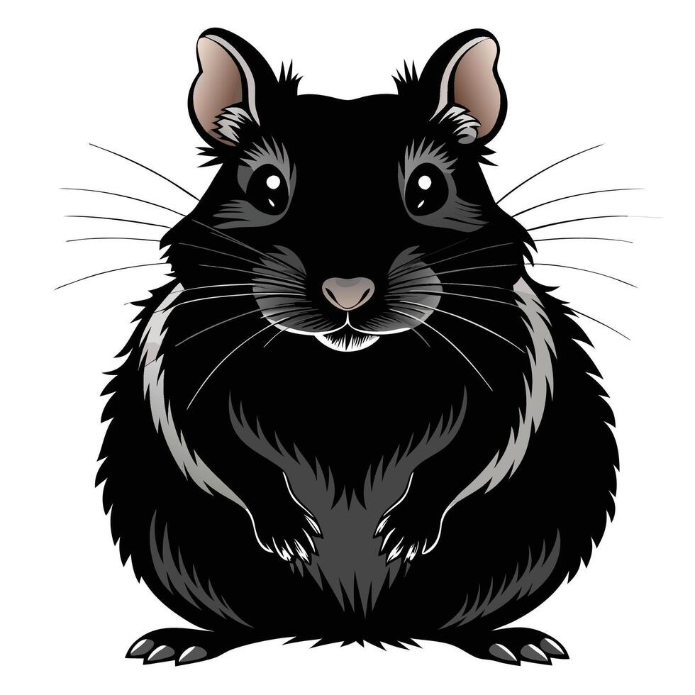 black rat on white background illustration vector