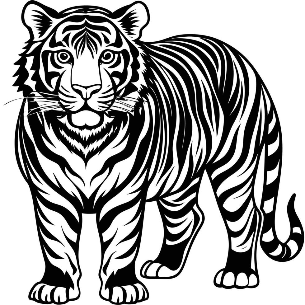 a tiger is standing in a black and white drawing vector