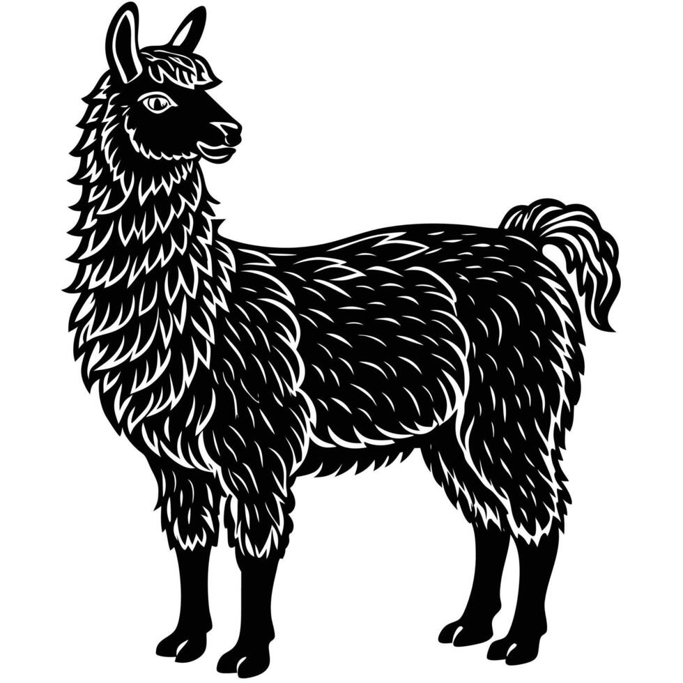 llama black and white illustration vector