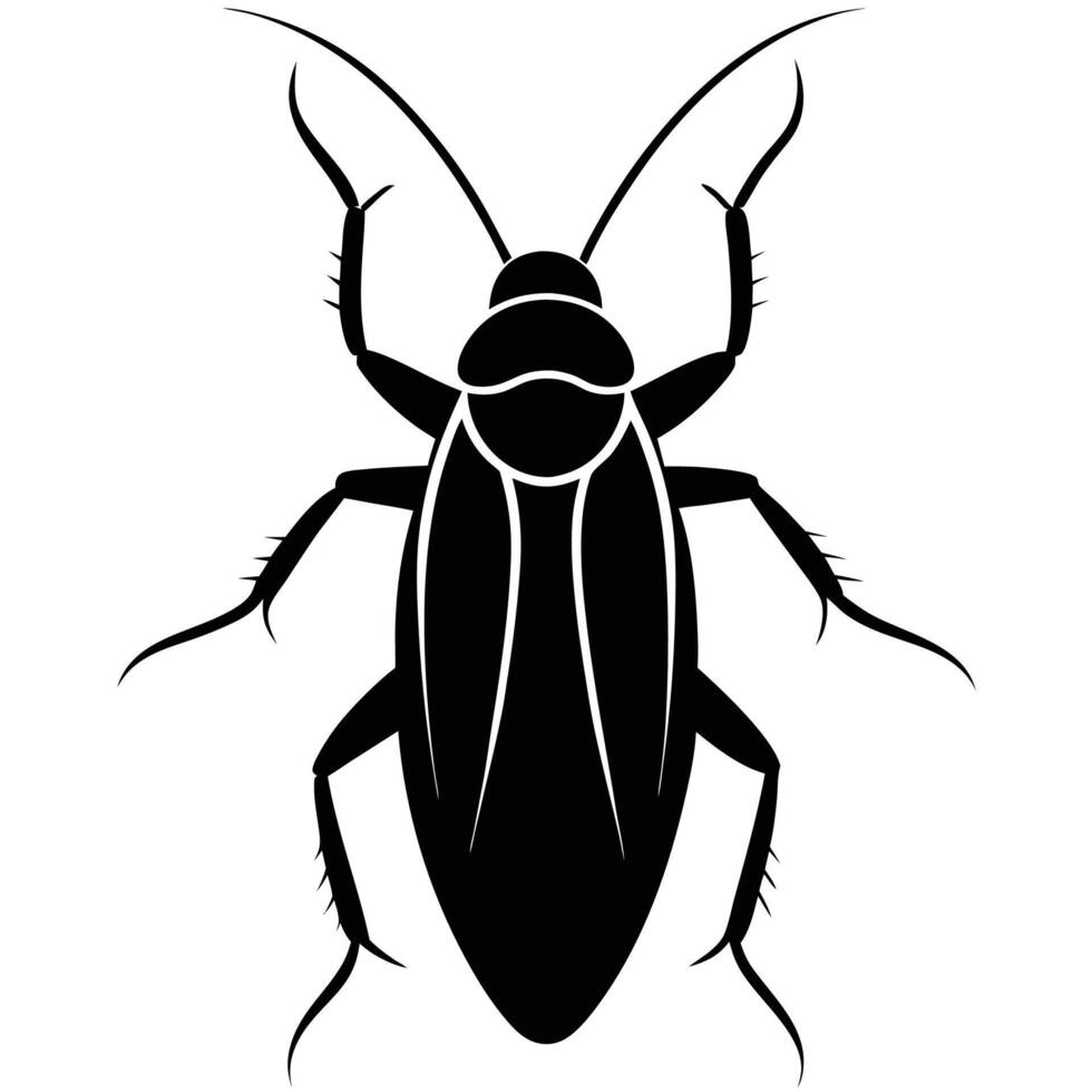 cockroach silhouette on white background vector