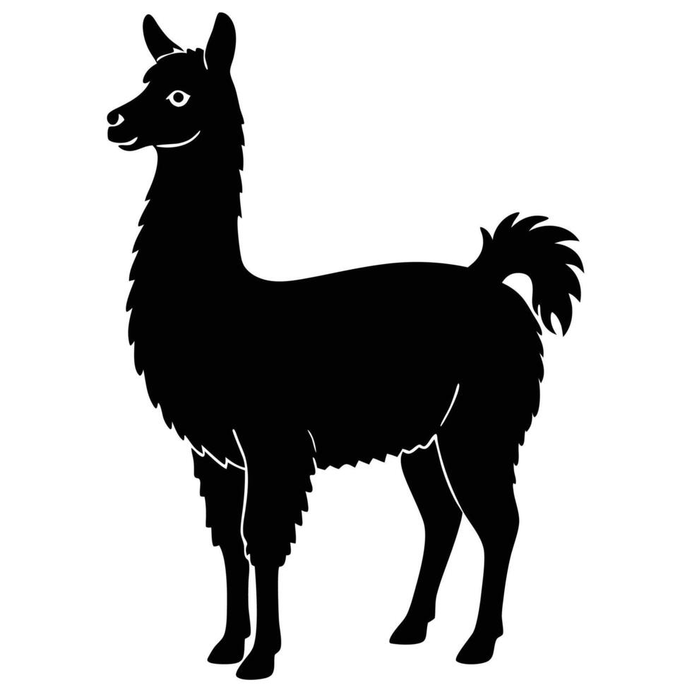 llama silhouette on white background illustration vector
