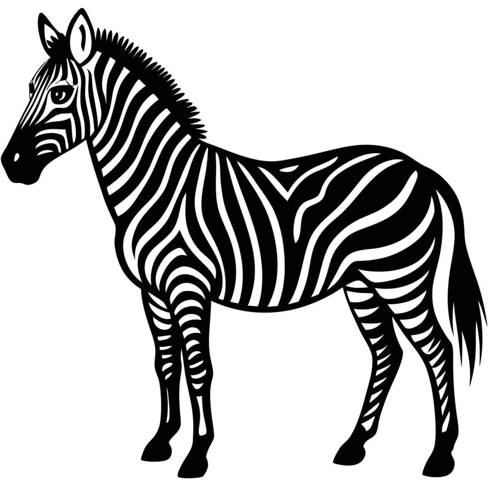 a zebra is standing in front of a white background vector