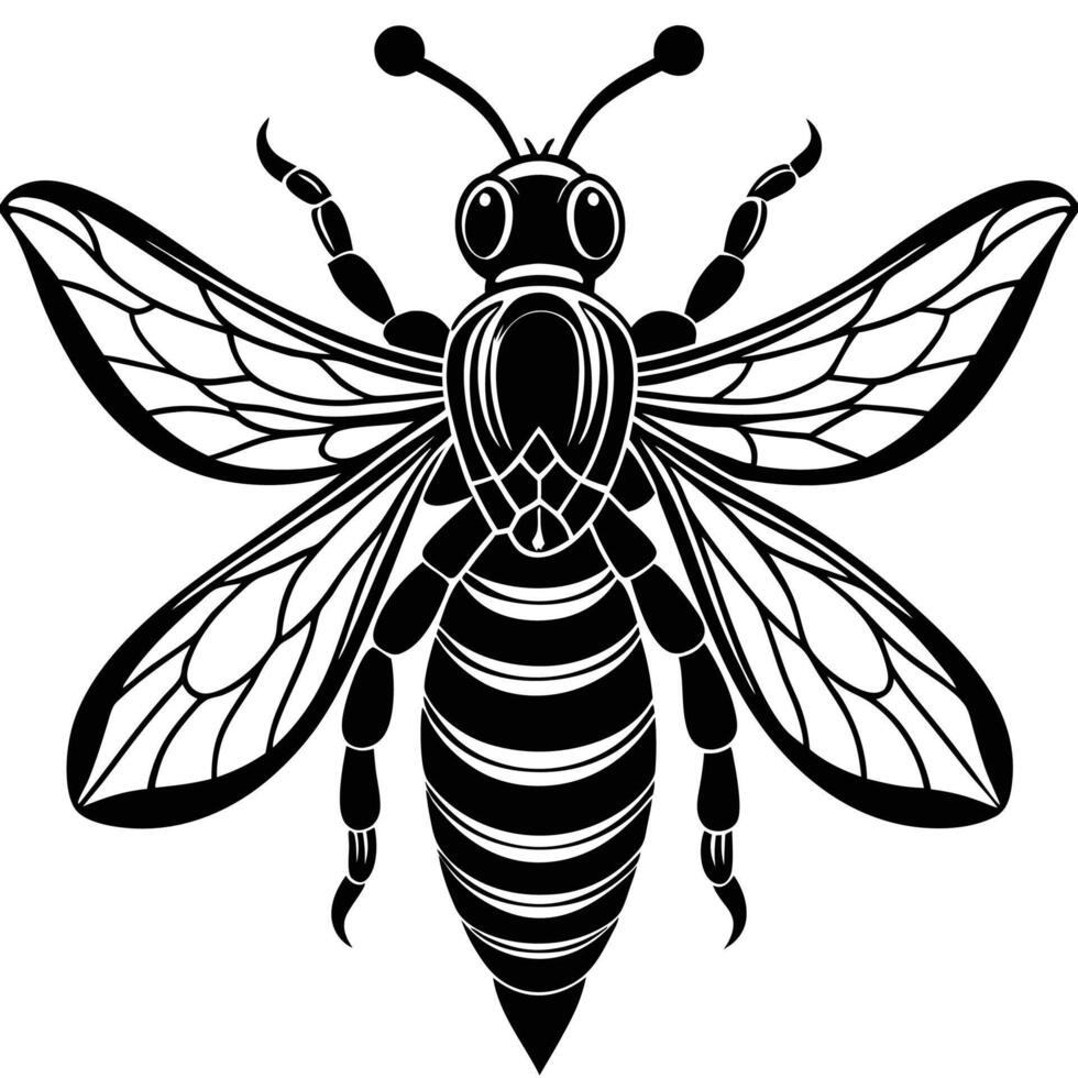 a black and white bee with wings and a long tail vector