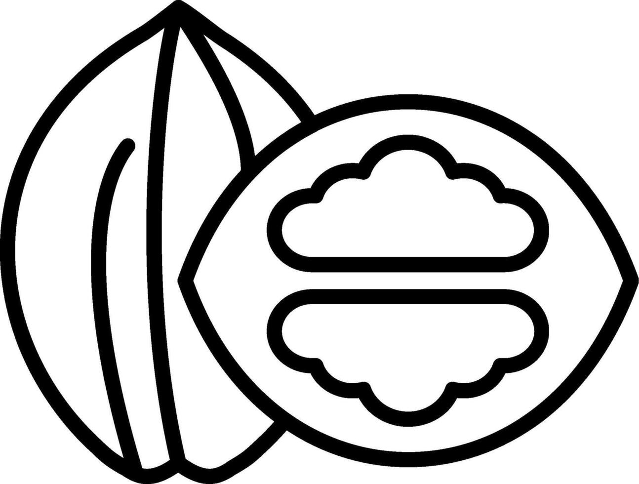 Walnut Line Icon vector