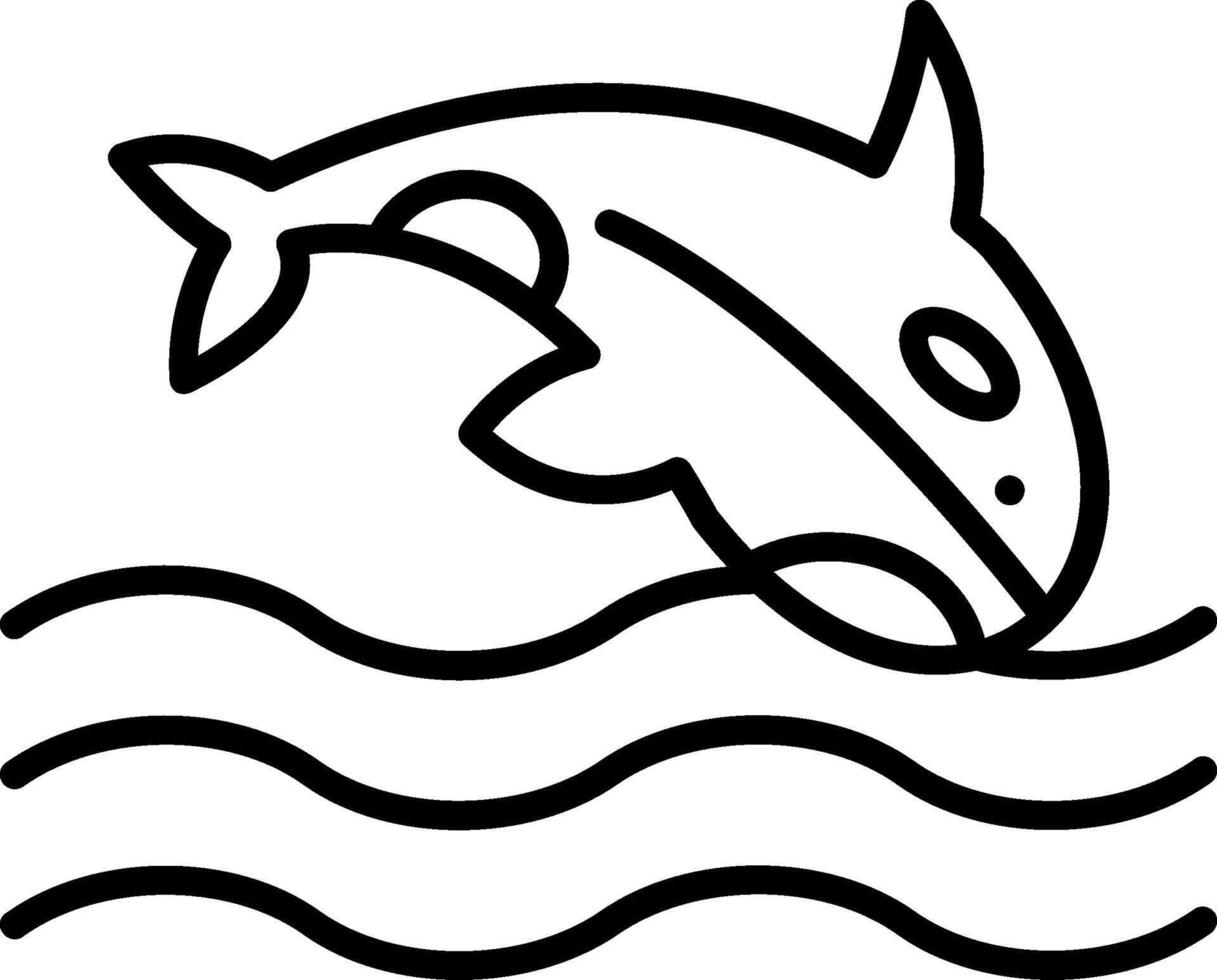 Orca Line Icon vector