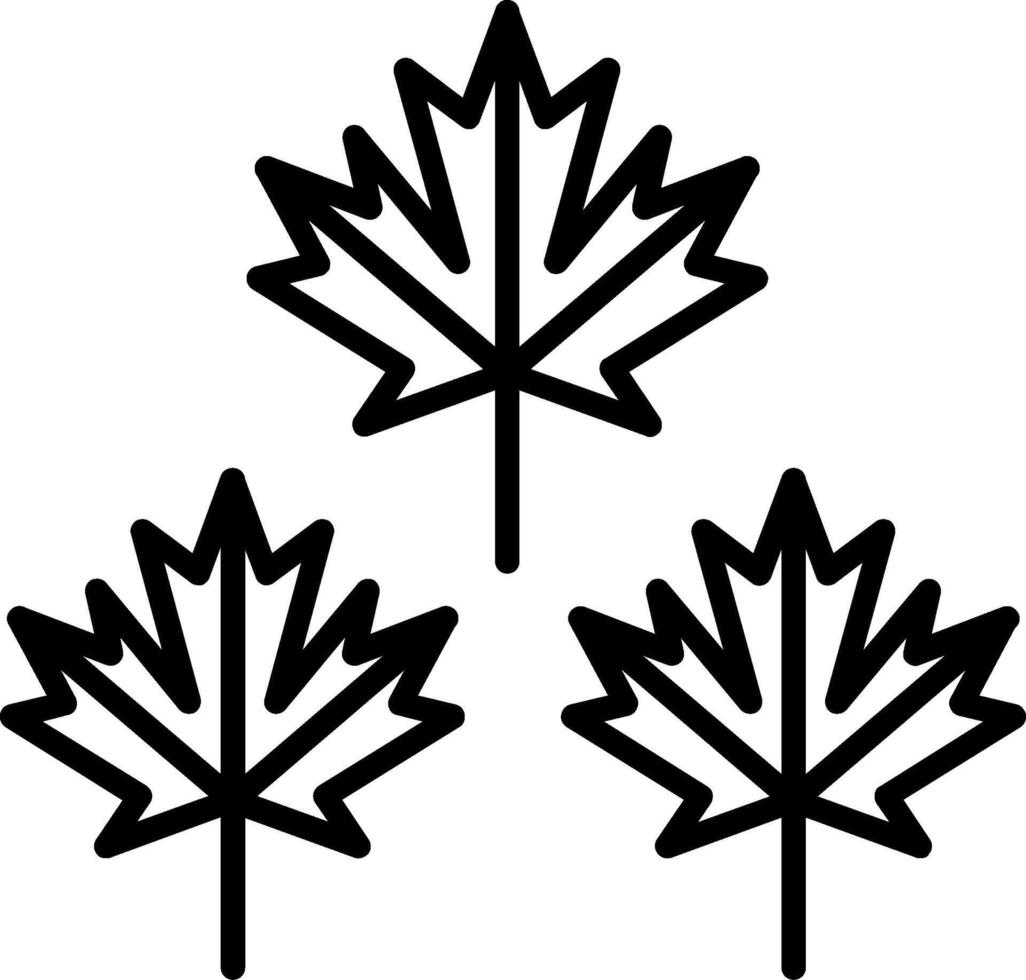 Maple Leaf Line Icon vector