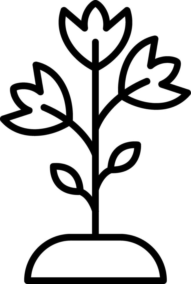 Parsley Line Icon vector