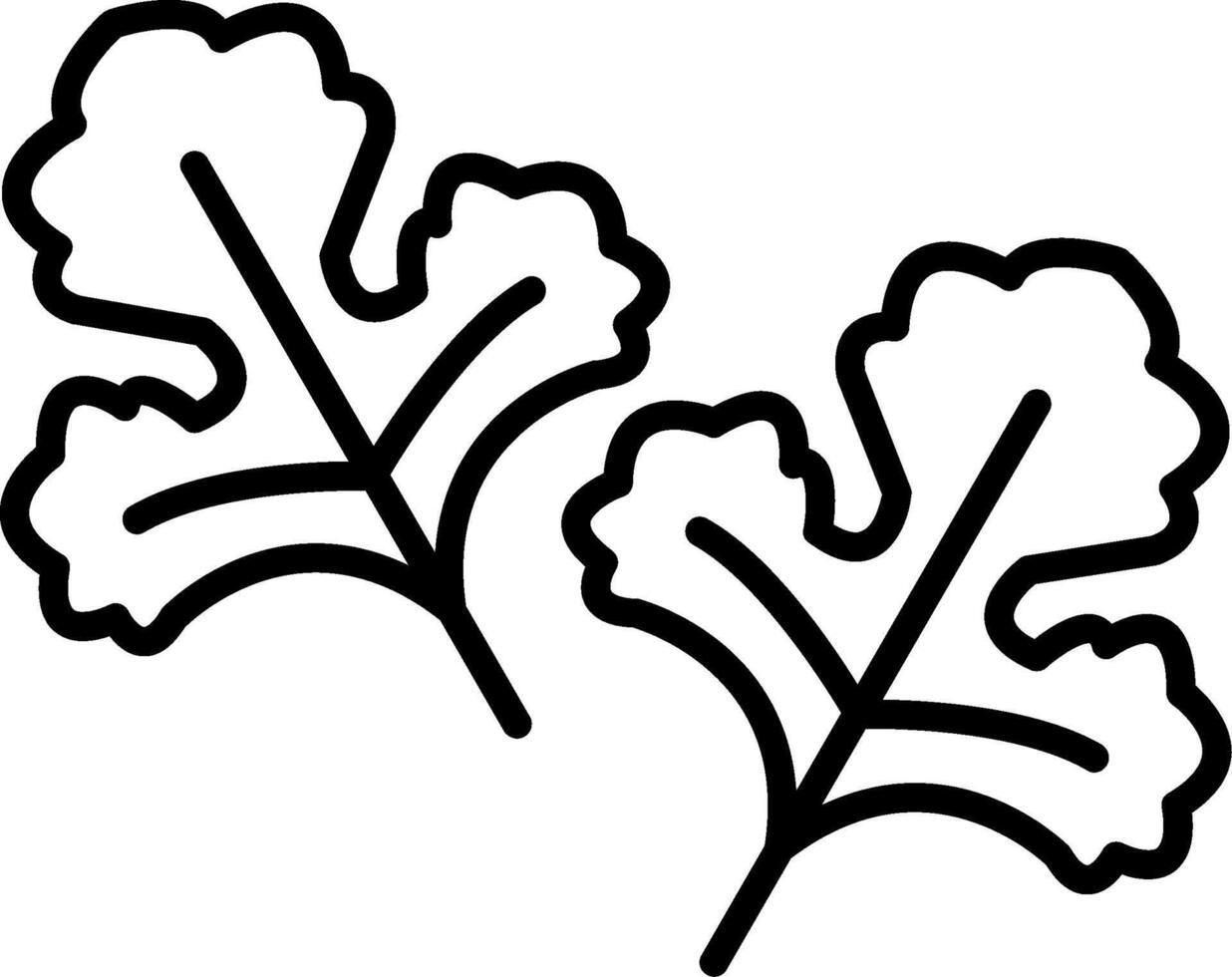 Coriander Line Icon vector