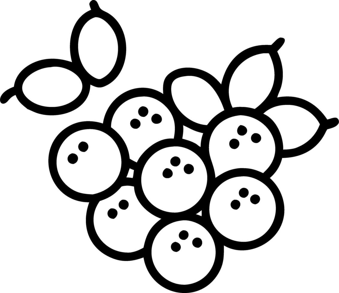 Grapes and Figs vector