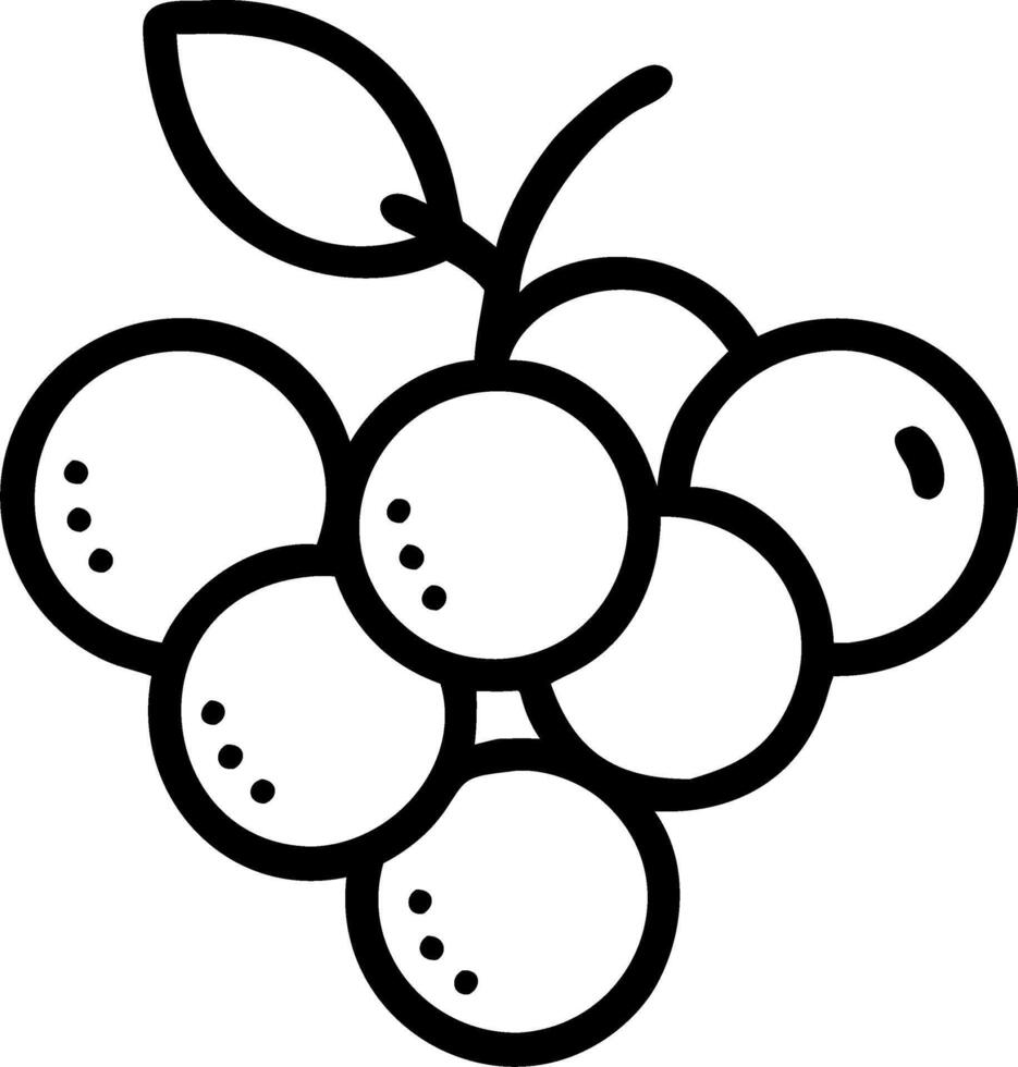 Grapes and Figs vector