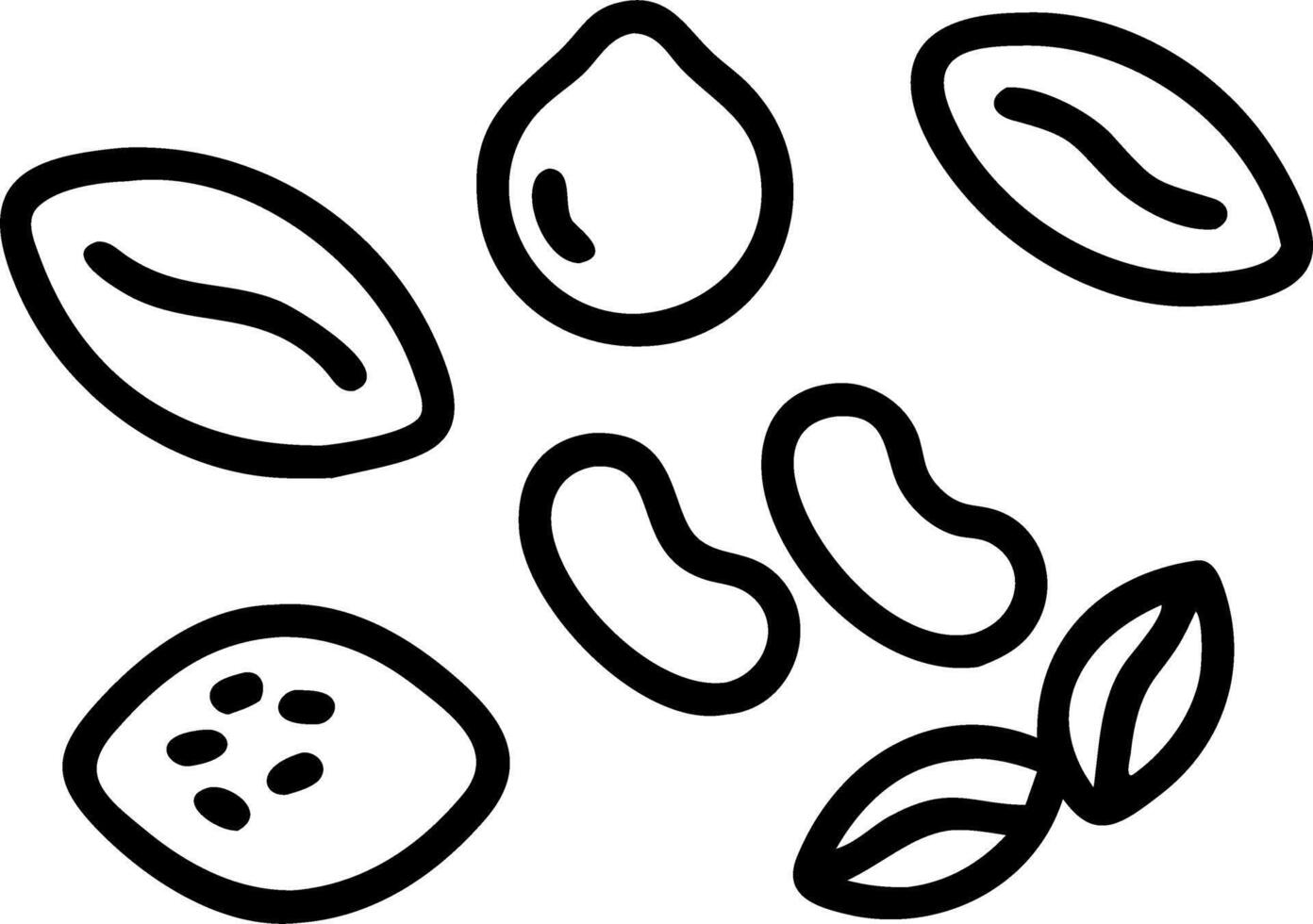 Nuts and Dried Fruits vector