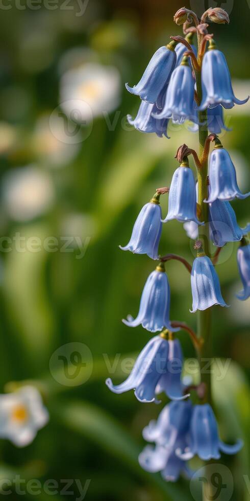 Beautiful cluster of bluebells blooming in a lush garden surrounded by vibrant greenery during springtime photo