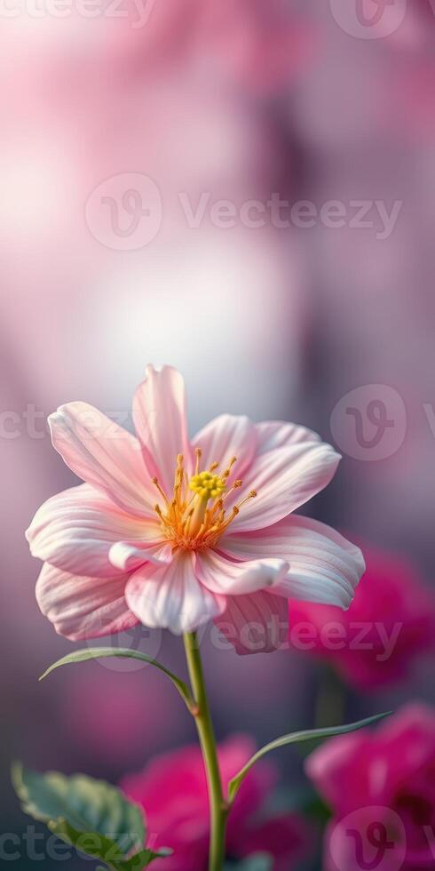 Beautiful blooming pink flower captures the essence of spring in a serene garden photo