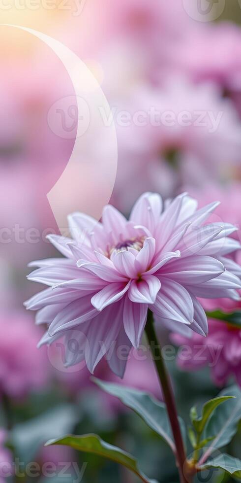 Beautiful pink flower blooming among soft pink blossoms in a serene garden during springtime photo