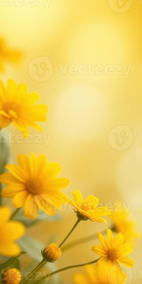 Bright yellow flowers blooming in a sunny garden full of natural light and beauty during the spring season photo