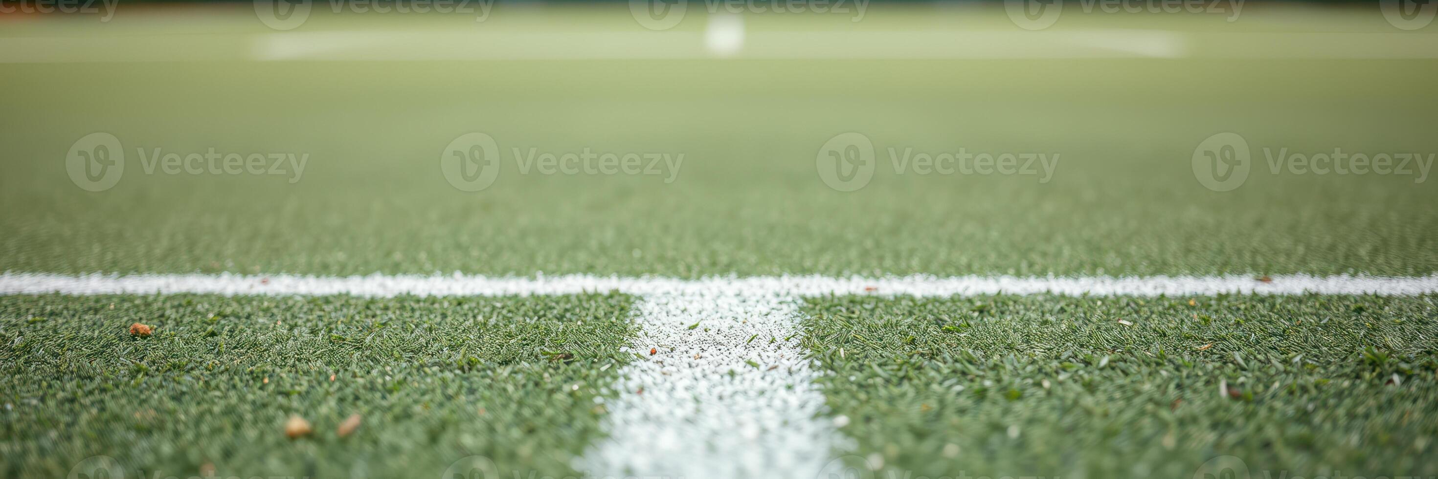 Focus on the white line marking on a well-maintained turf field in the afternoon sun photo