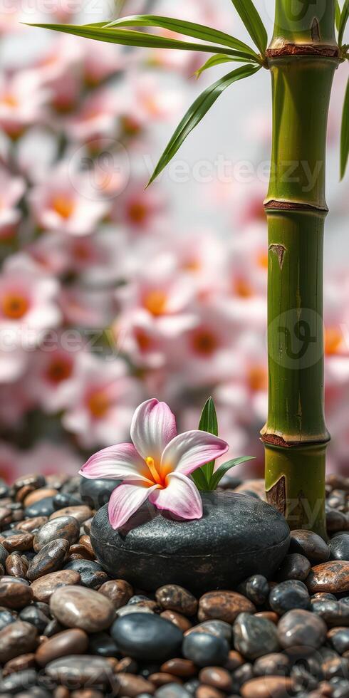 Peaceful bamboo and flower arrangement with pebbles in a serene garden setting photo