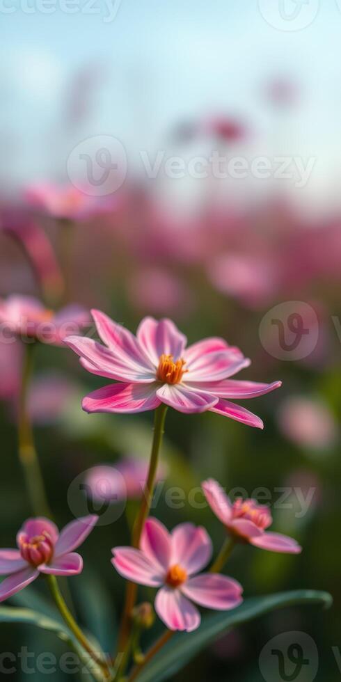 Vibrant pink flowers bloom under sunlight in a lush garden during spring season photo