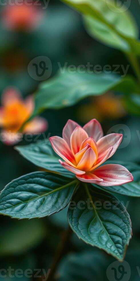 Beautiful water lily blooming with soft petals in a lush garden during sunny daylight photo