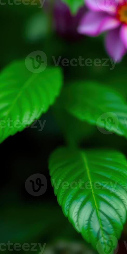 Vibrant green leaves with soft pink flowers in a lush garden under natural daylight photo