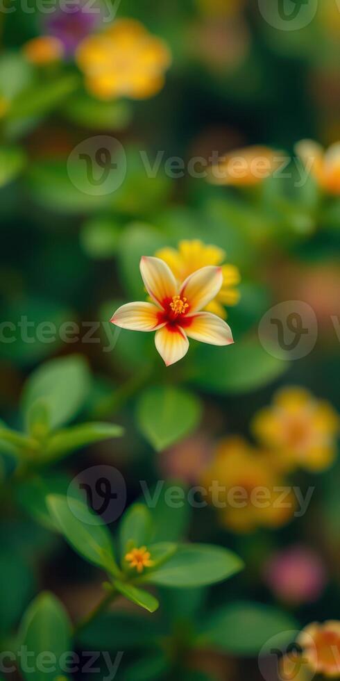 Beautiful yellow and orange flower blooming amidst lush green foliage in a garden setting photo