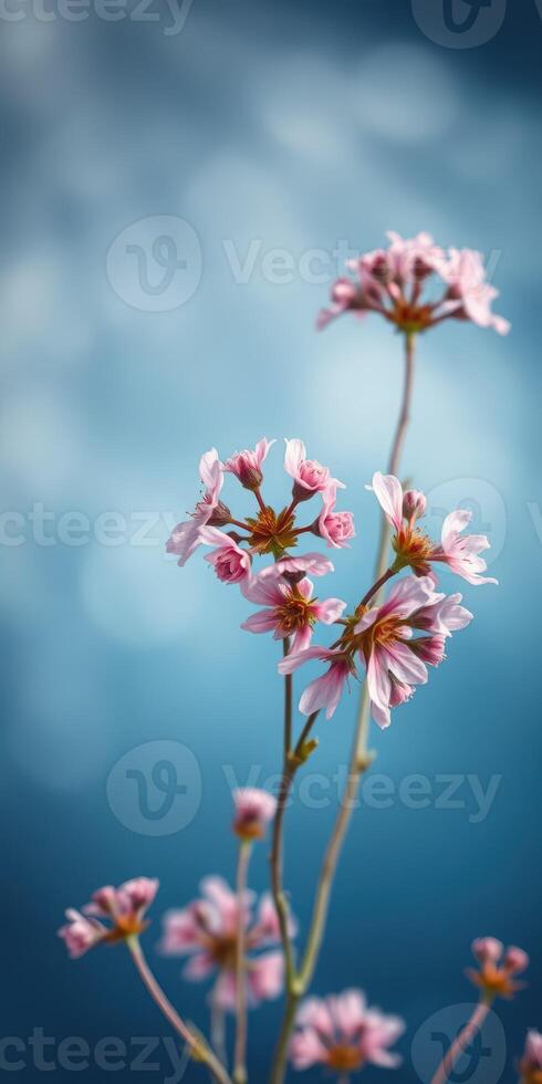 Delicate pink flowers bloom against a soft blue background in a tranquil setting photo