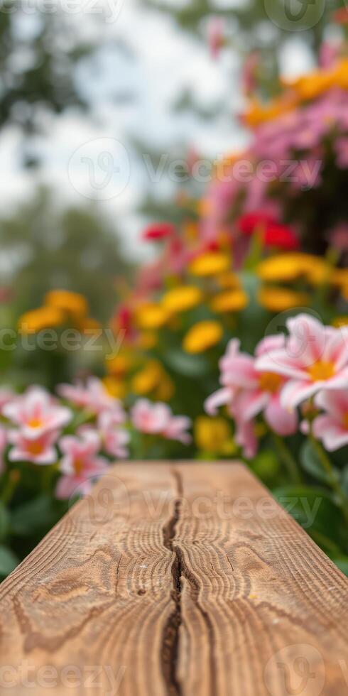 Colorful garden flowers bloom in spring, creating a vibrant landscape with a wooden path under a cloudy sky photo