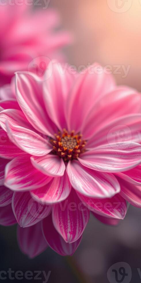 Bright pink flower blooms in a garden showcasing delicate petals and vibrant colors during the afternoon light photo